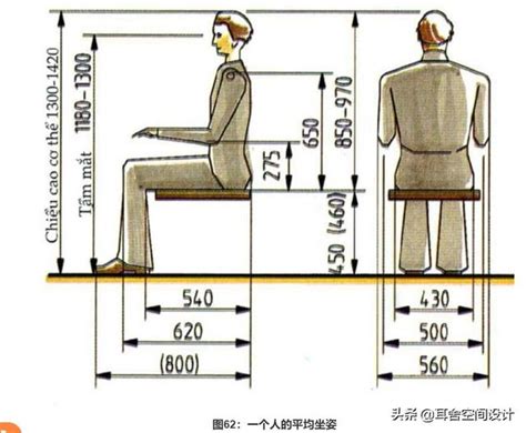 人的寬度|室內人體工程學尺寸